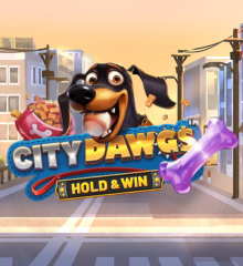 City Dawg